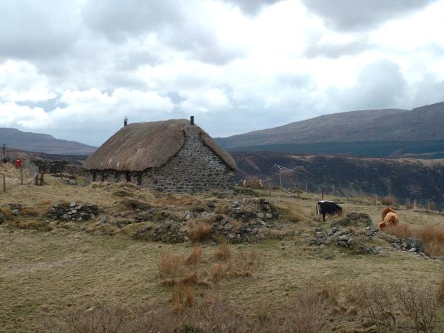 Thatched Cottage